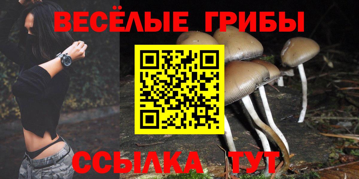 Псилоцибиновые грибы мухоморы  Вход с VPN  Большой Камень 